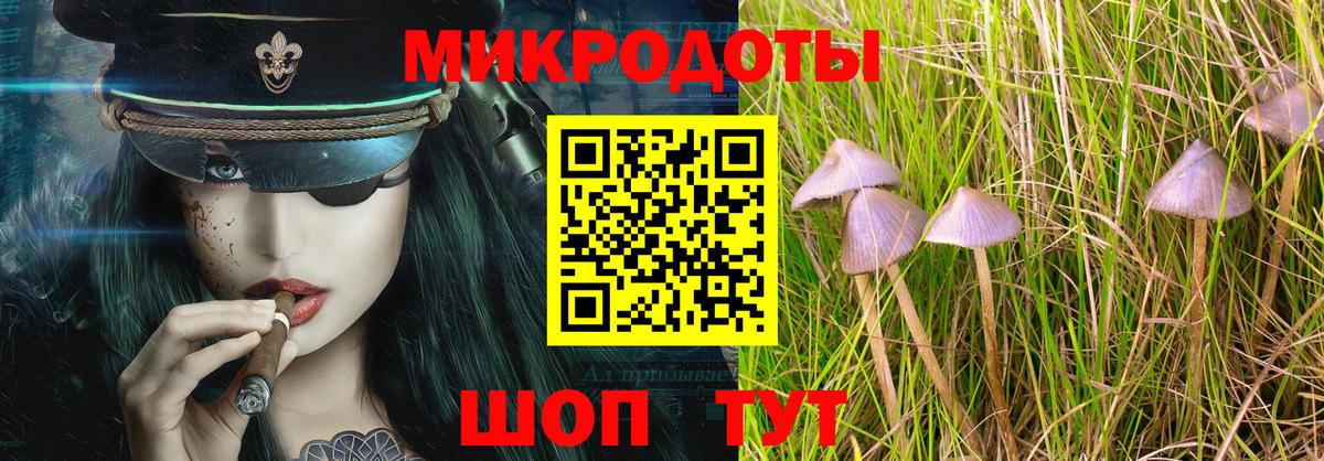 Псилоцибиновые грибы ЛСД Новозыбков