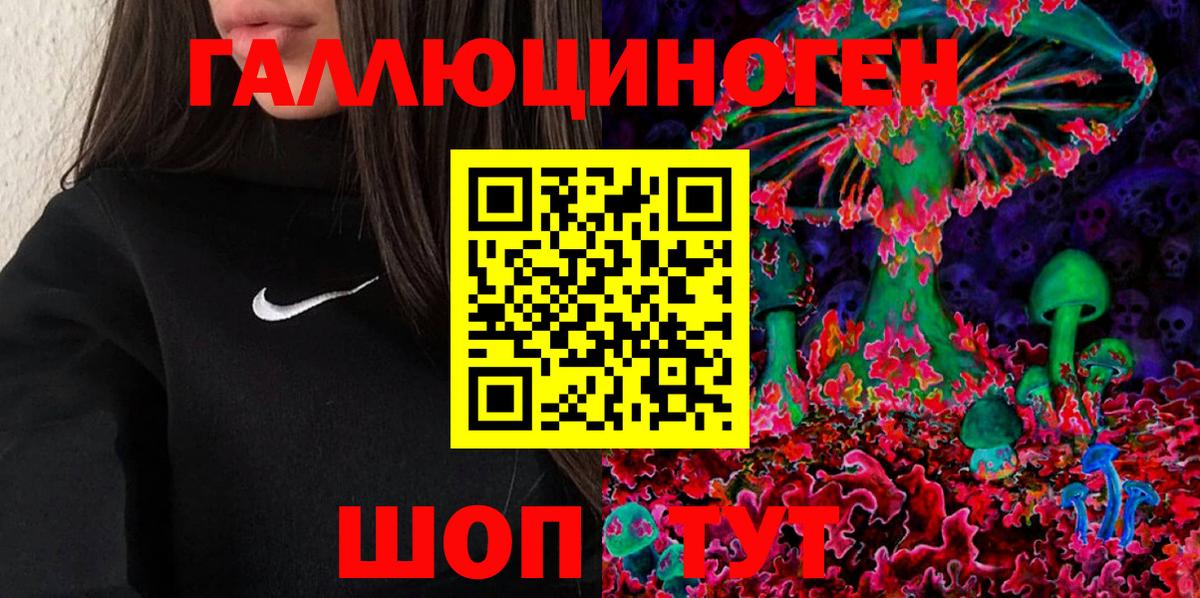 Новозыбков  Галлюциногенные грибы Psilocybe  Вход с VPN 